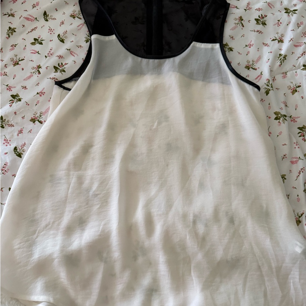 Express Black and White Sheer top!